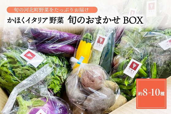 １３かほくイタリア野菜 旬のおまかせBOX（8～10種類程度）